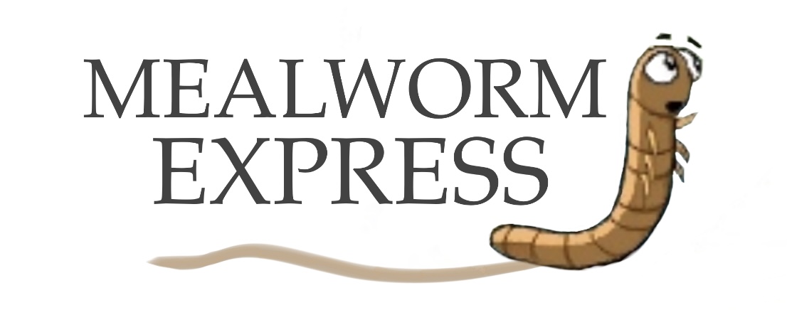 Mealworm Express